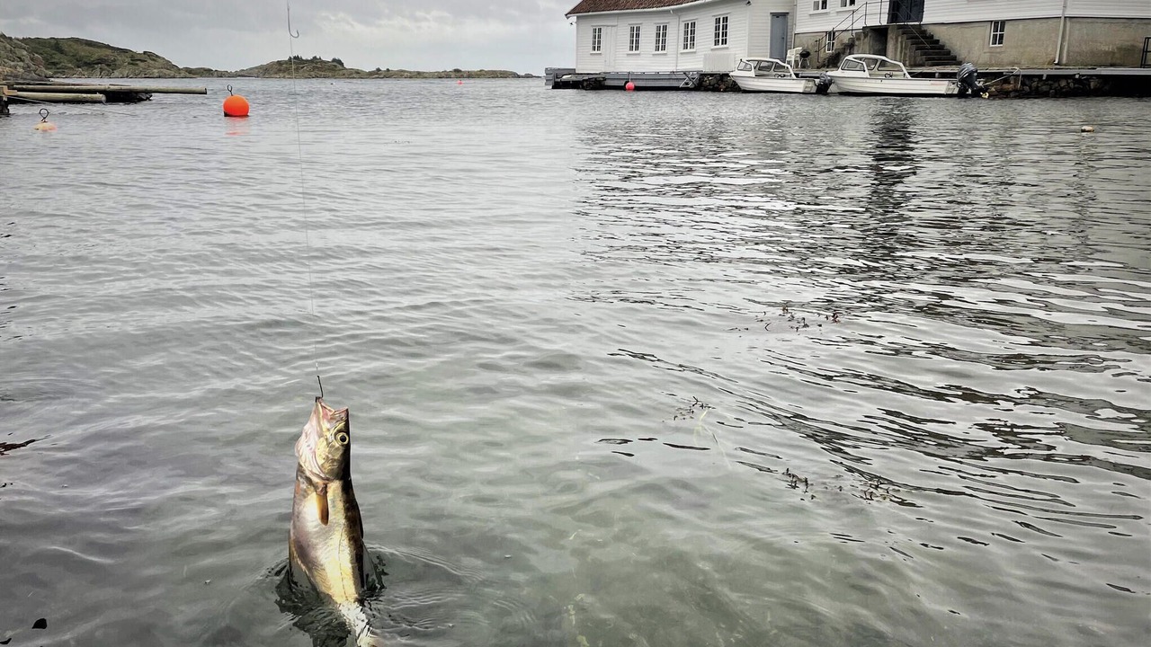 Photo of Others in Farsund