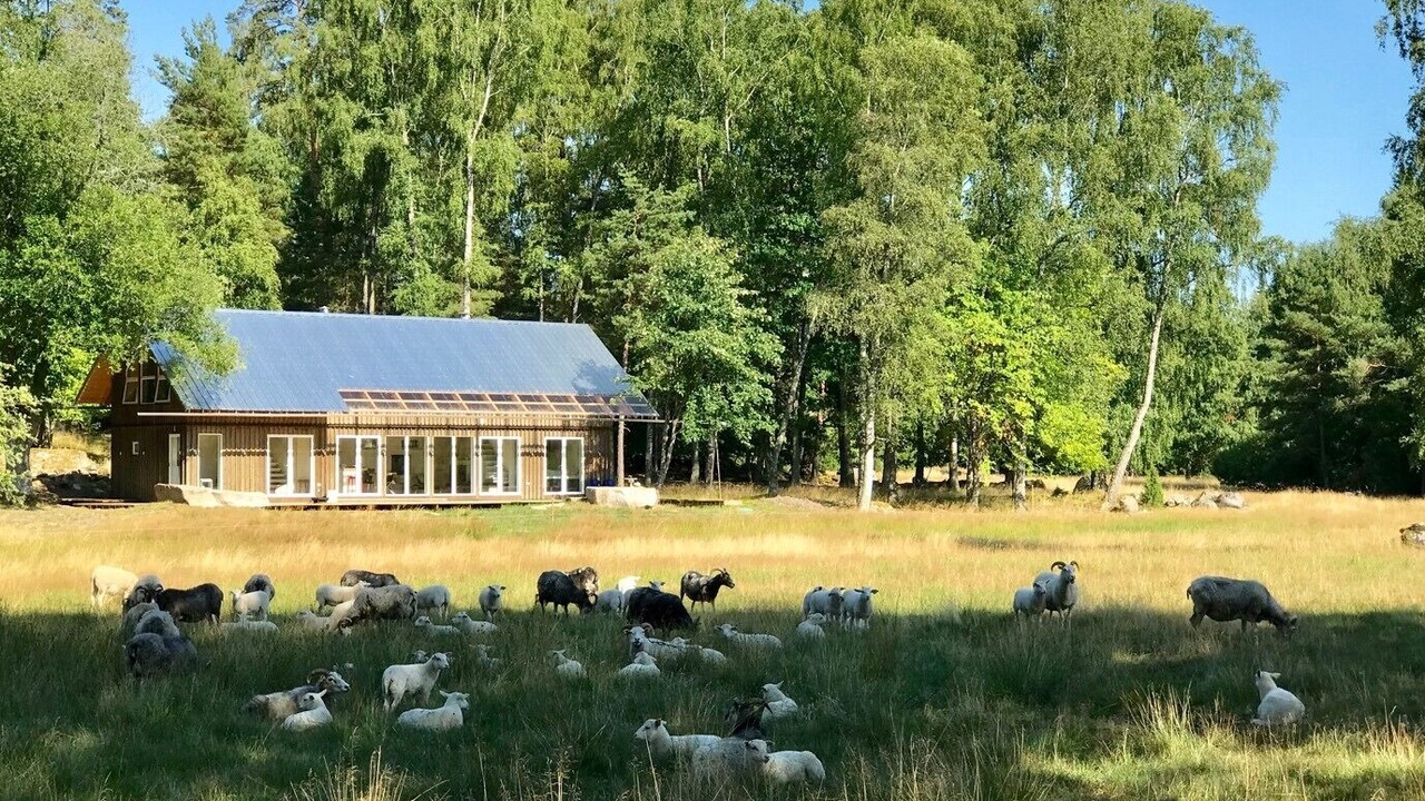 Photo of Others in Stavsjo