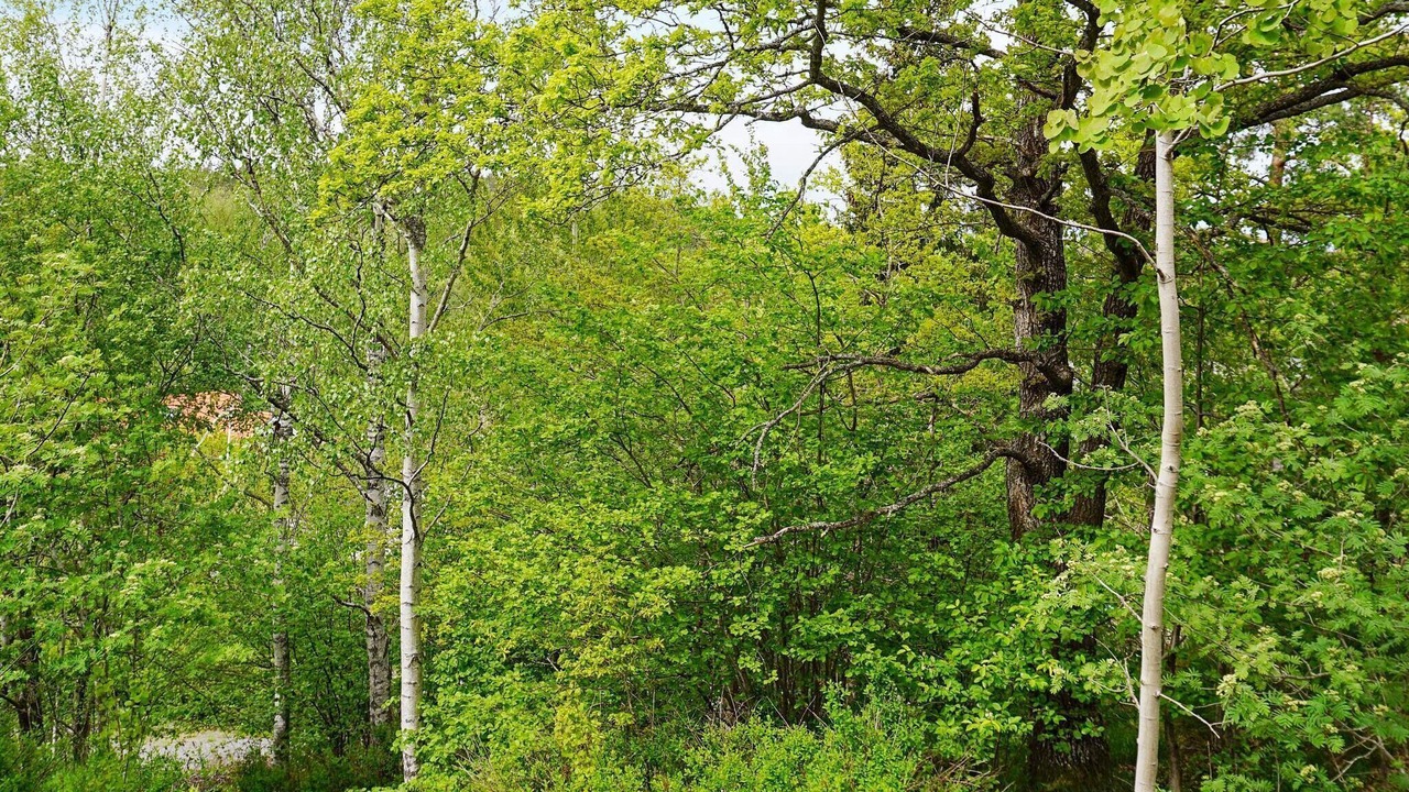 Photo of Outdoor in Tyreso