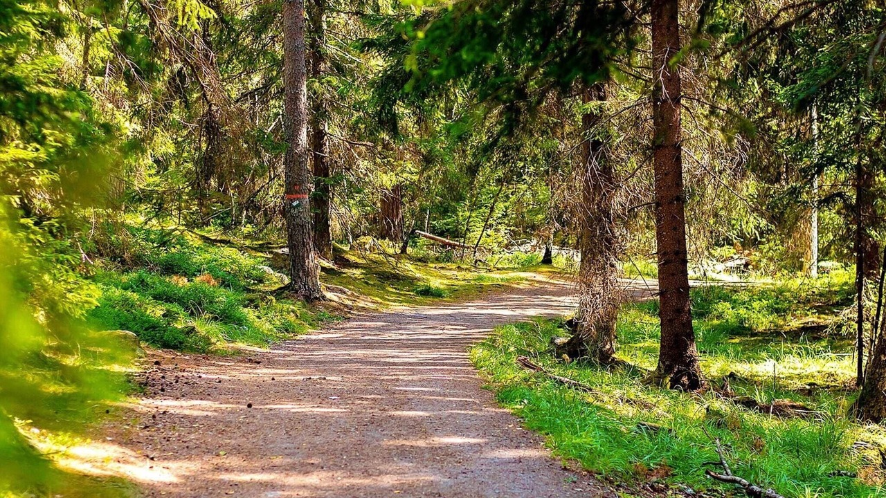 Photo of Outdoor in Ekero