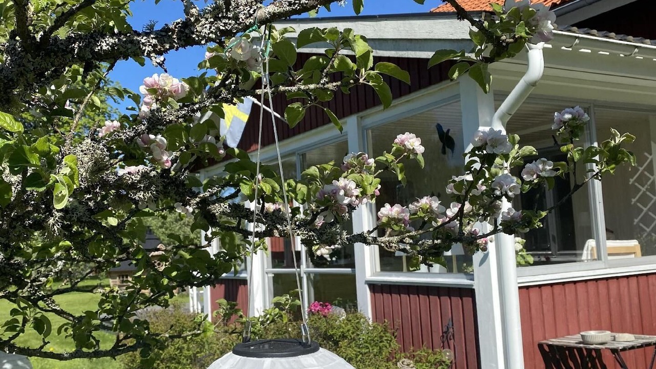 Photo of Outdoor in Varnamo O