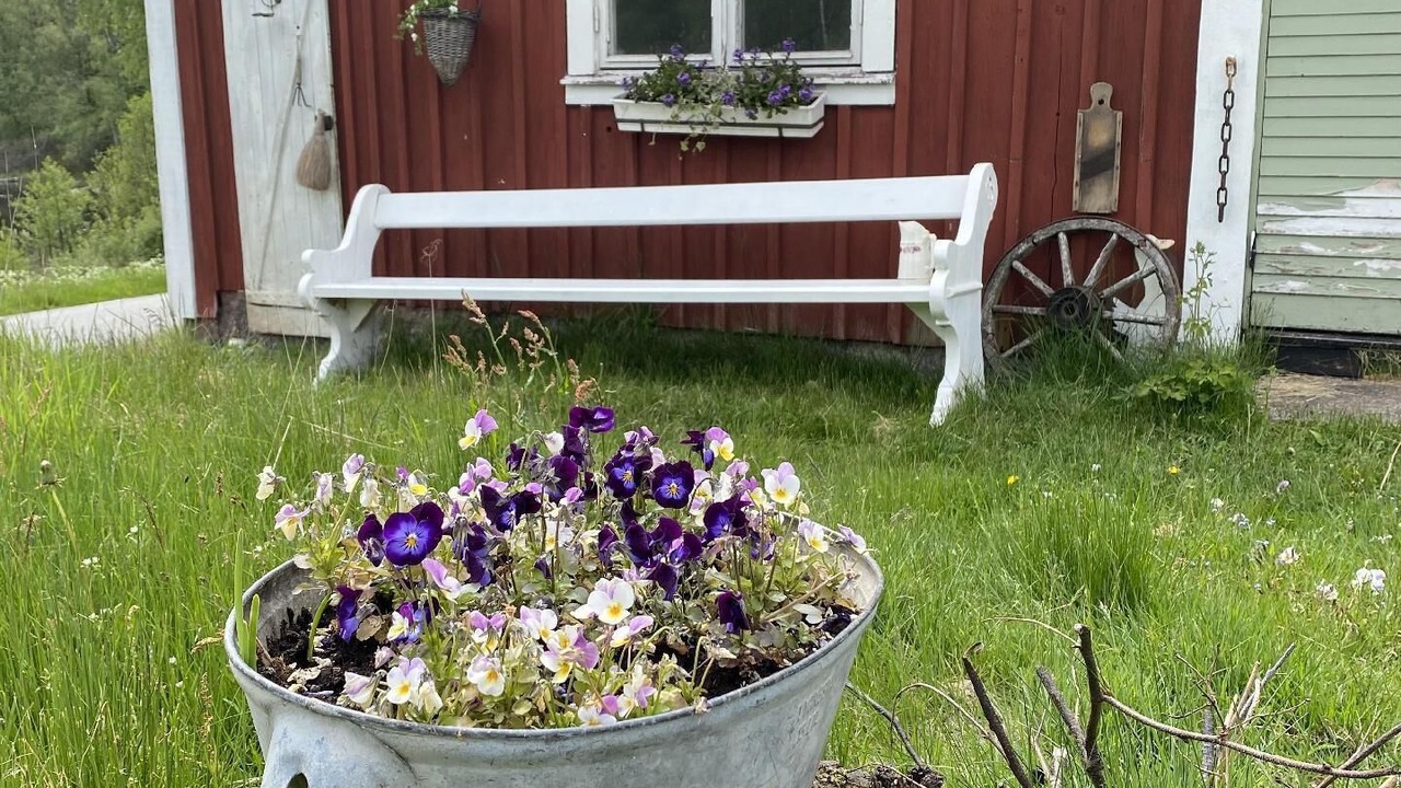 Photo of Outdoor in Varnamo O