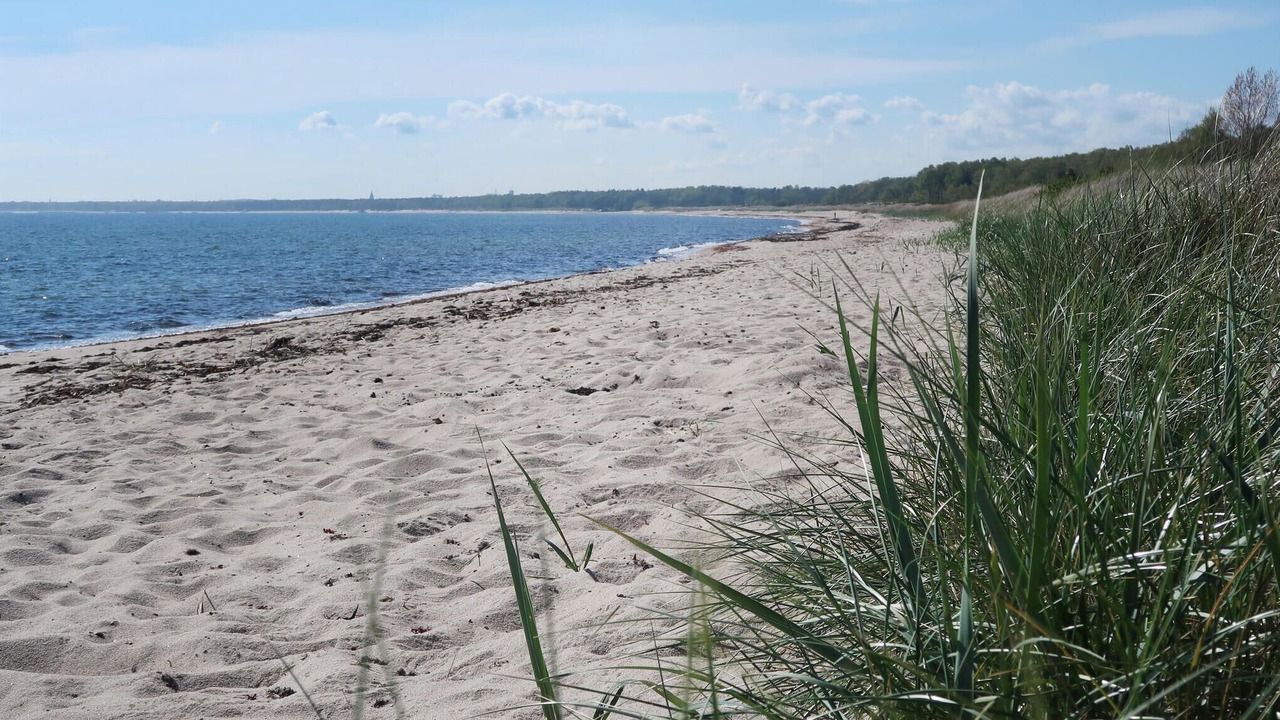 Photo of Others in Nybrostrand