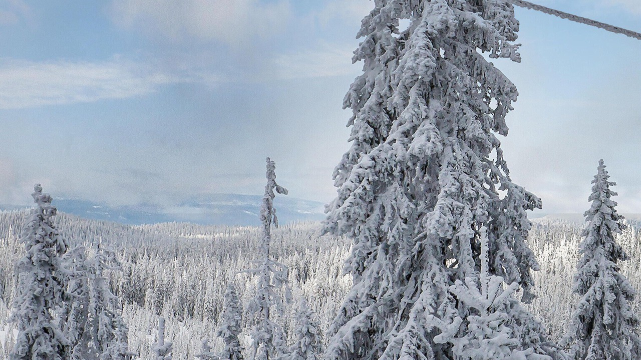 Photo of Others in Sjusjoen