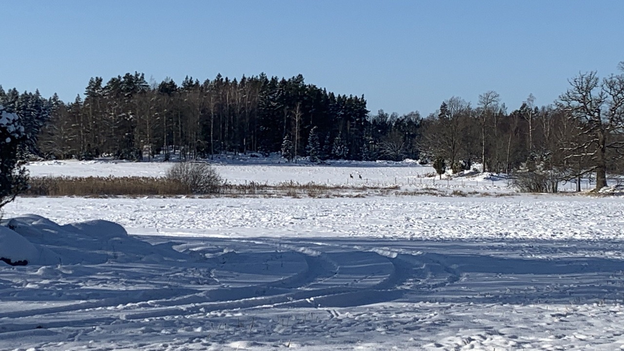 Photo of Outdoor in Eskilstuna Municipality