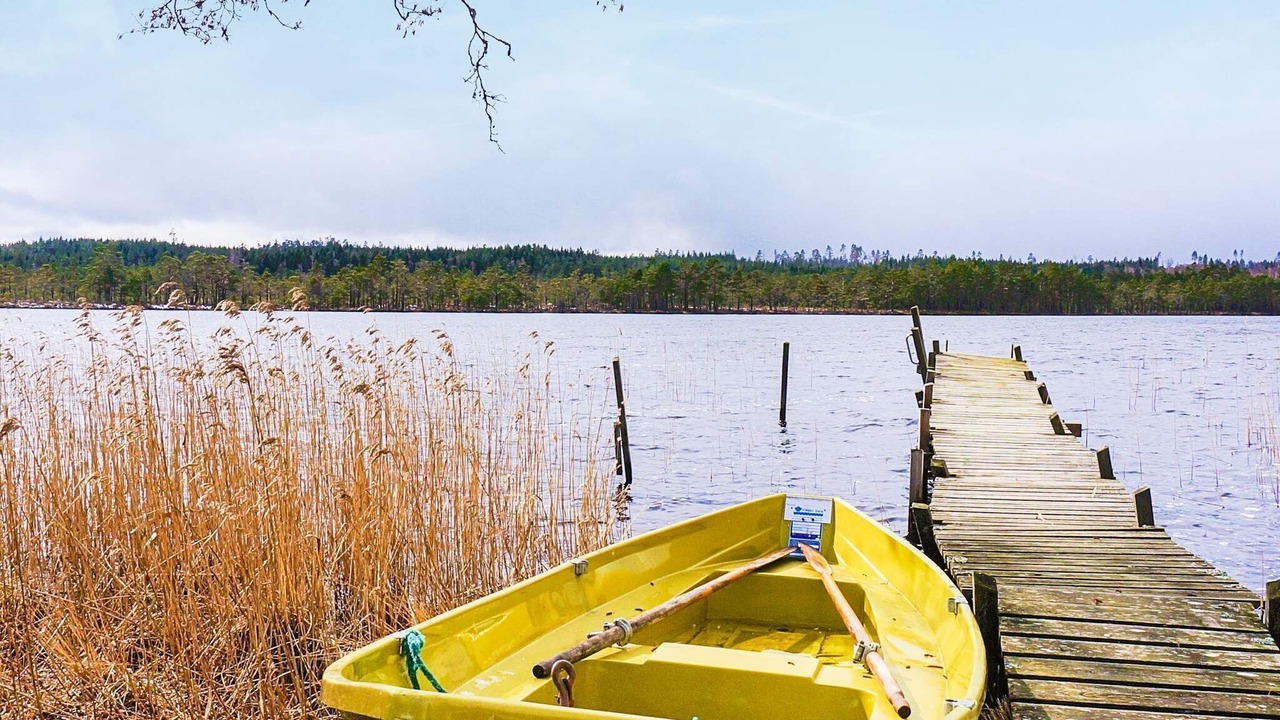Photo of Outdoor in Ljung
