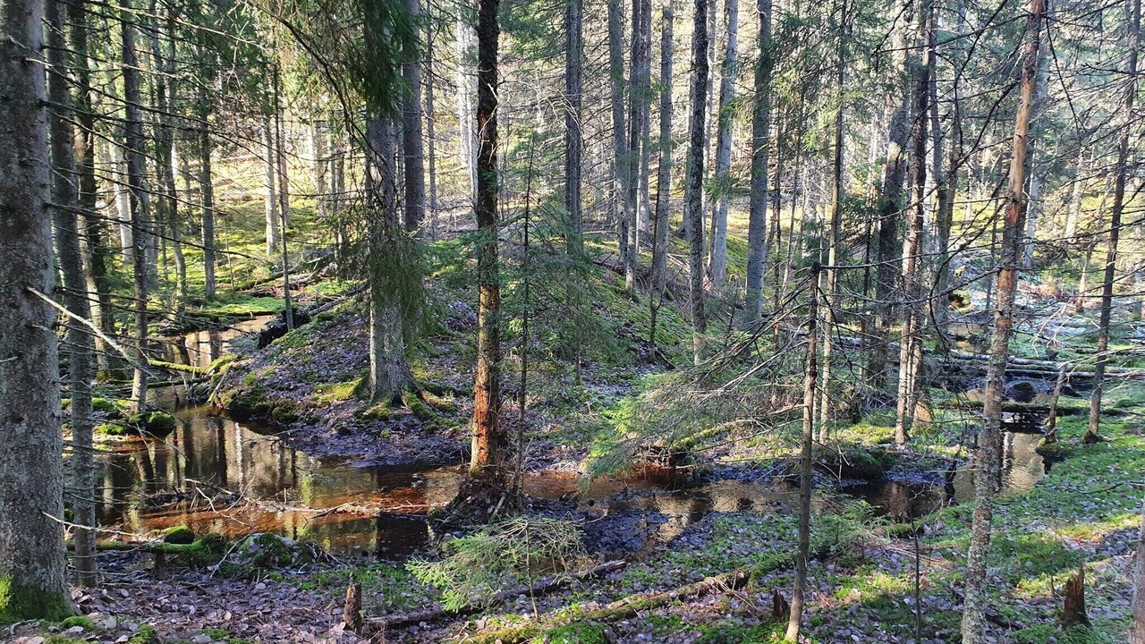 Photo of Others in Asbro