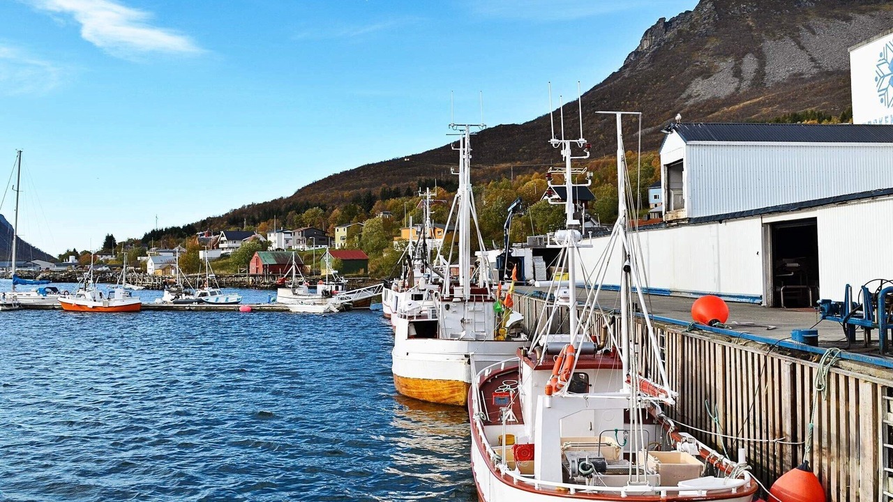 Photo of Others in Dyroy Municipality