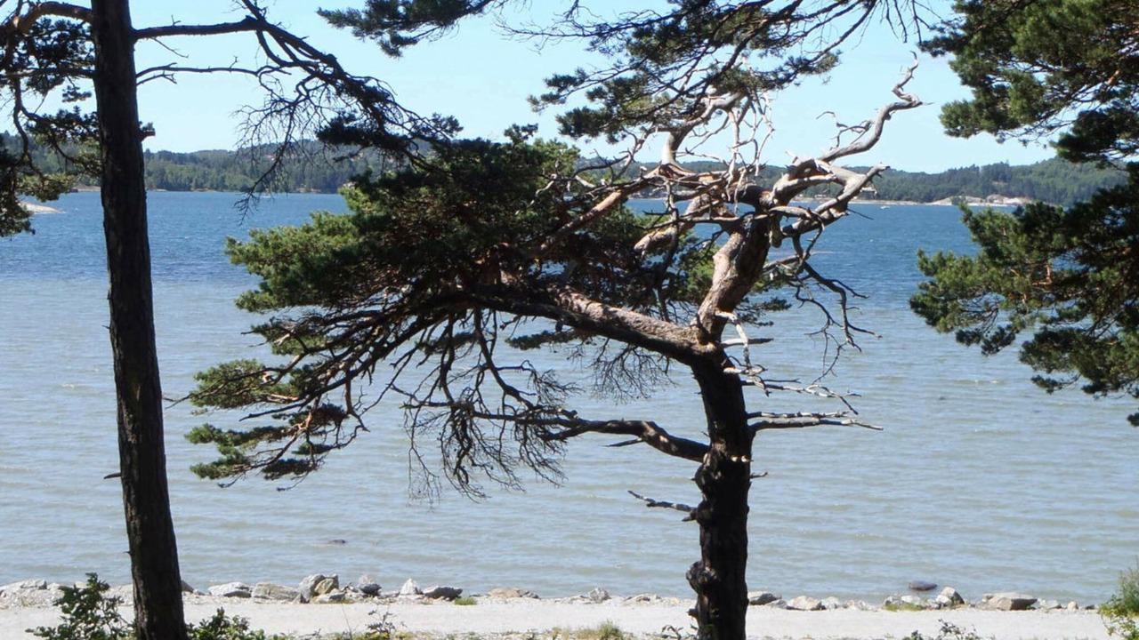 Photo of Others in Stenungsund
