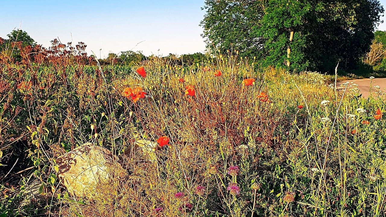 Photo of Outdoor in Kopingsvik