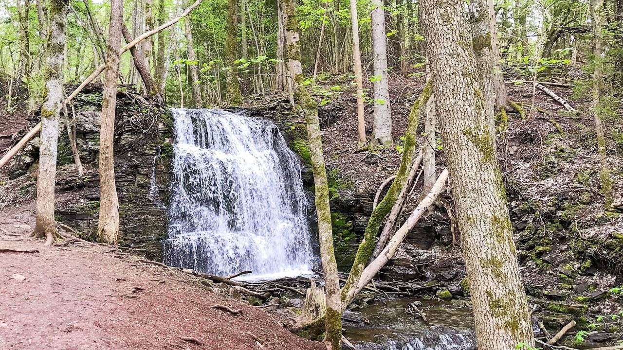 Photo of Outdoor in Lerdala