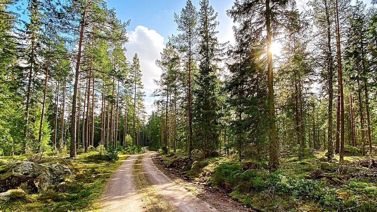 Photo of Outdoor in Gnosjo Municipality