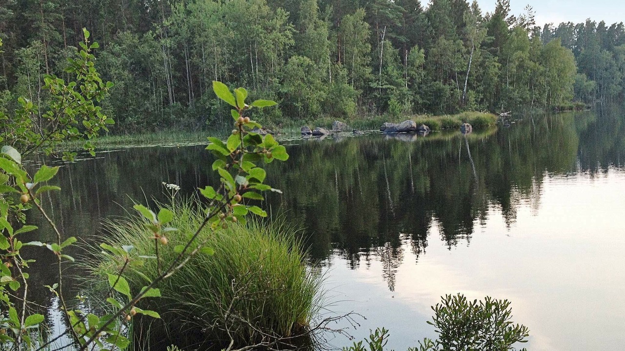 Photo of Outdoor in Hallabro