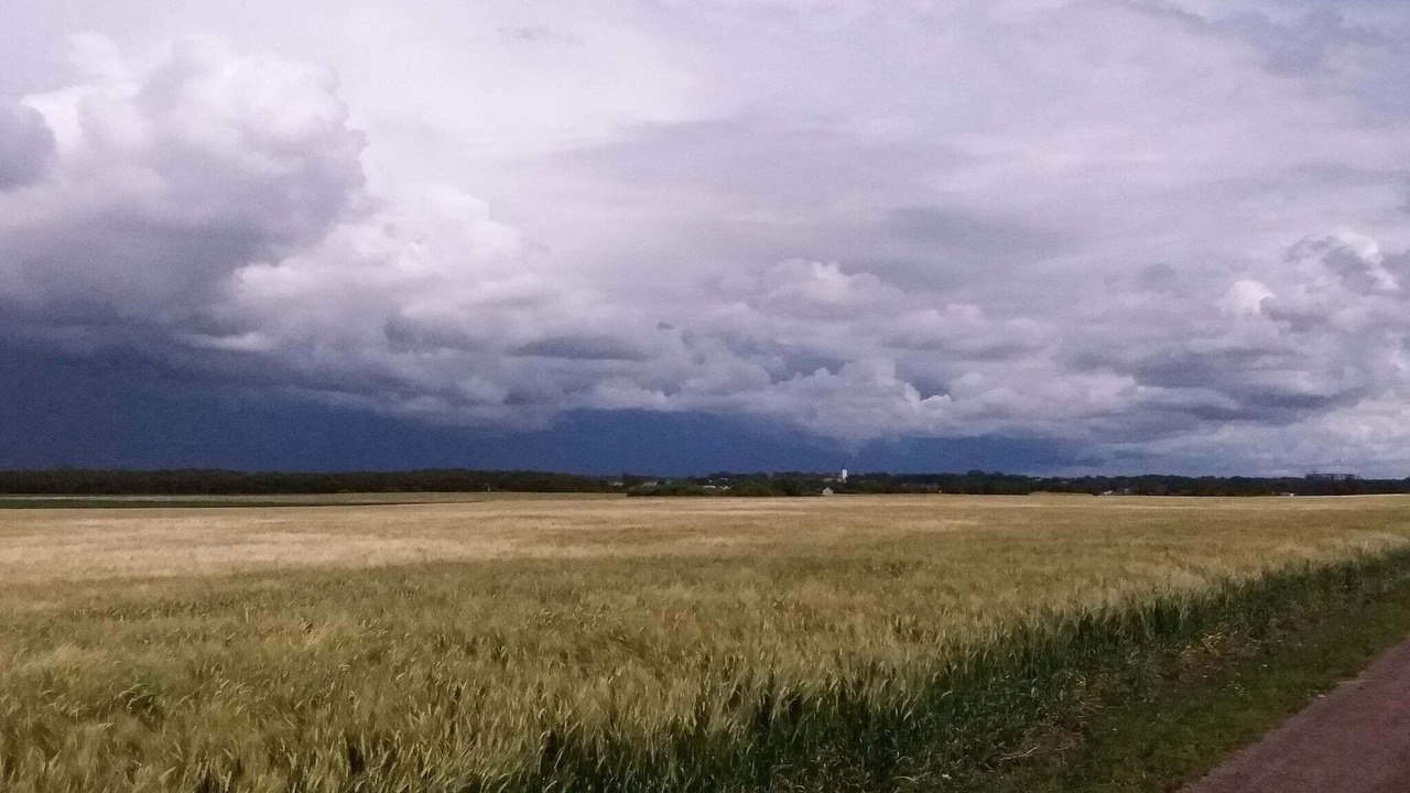 Photo of Others in Falkenberg