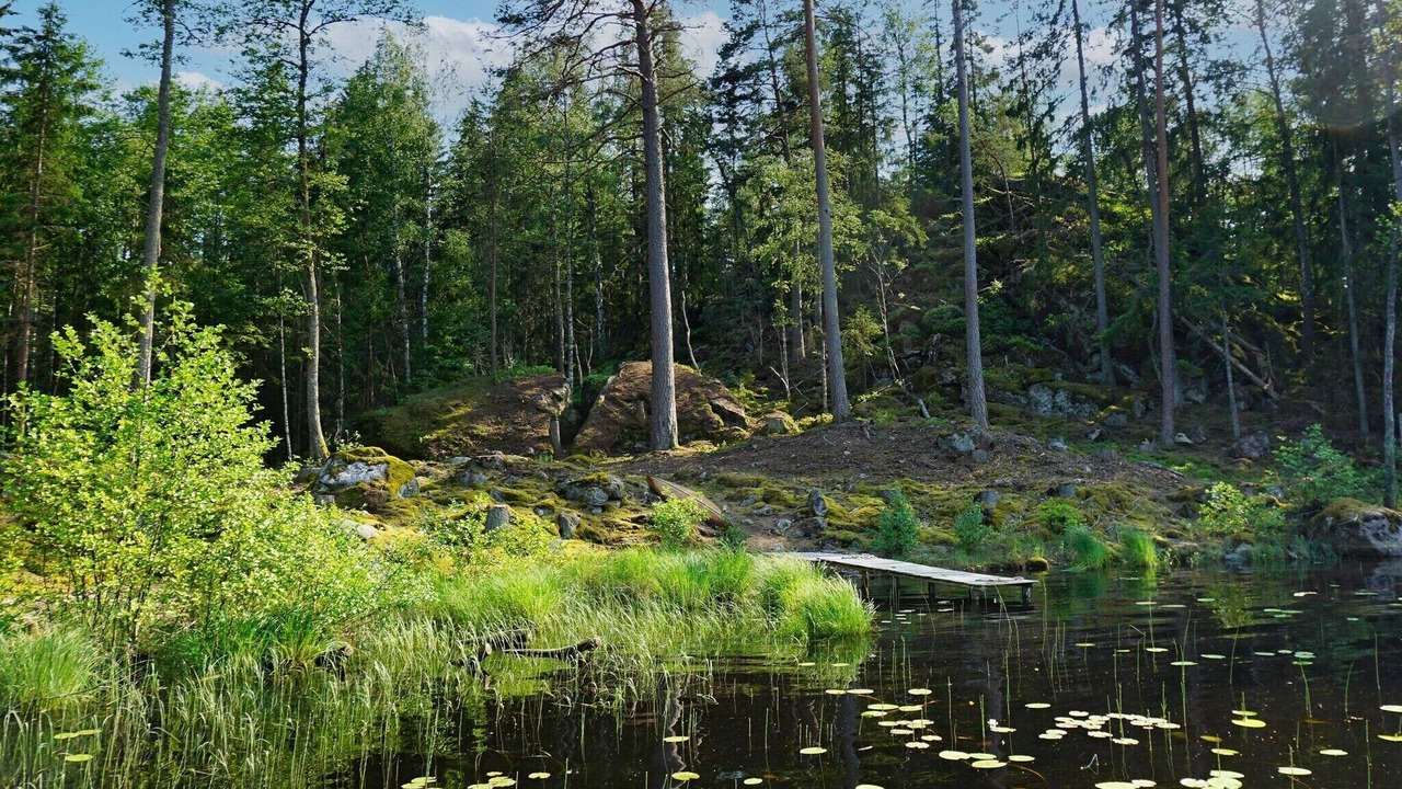 Photo of Others in Flen Municipality