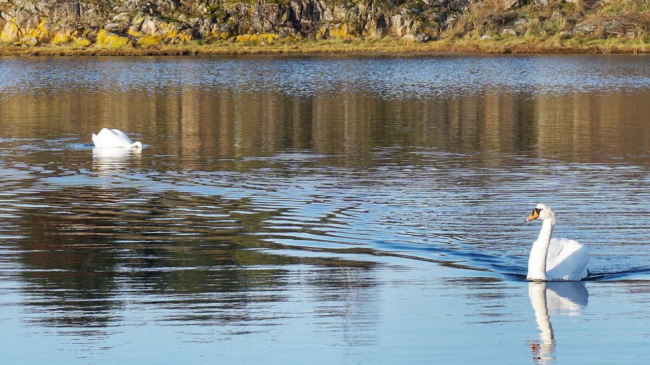 Photo of Others in Lokholmen