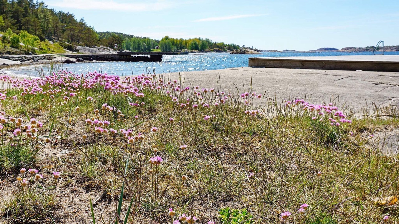 Photo of Others in Lokholmen