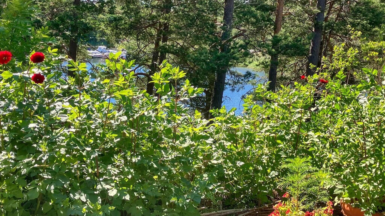 Photo of Outdoor in Varmdo