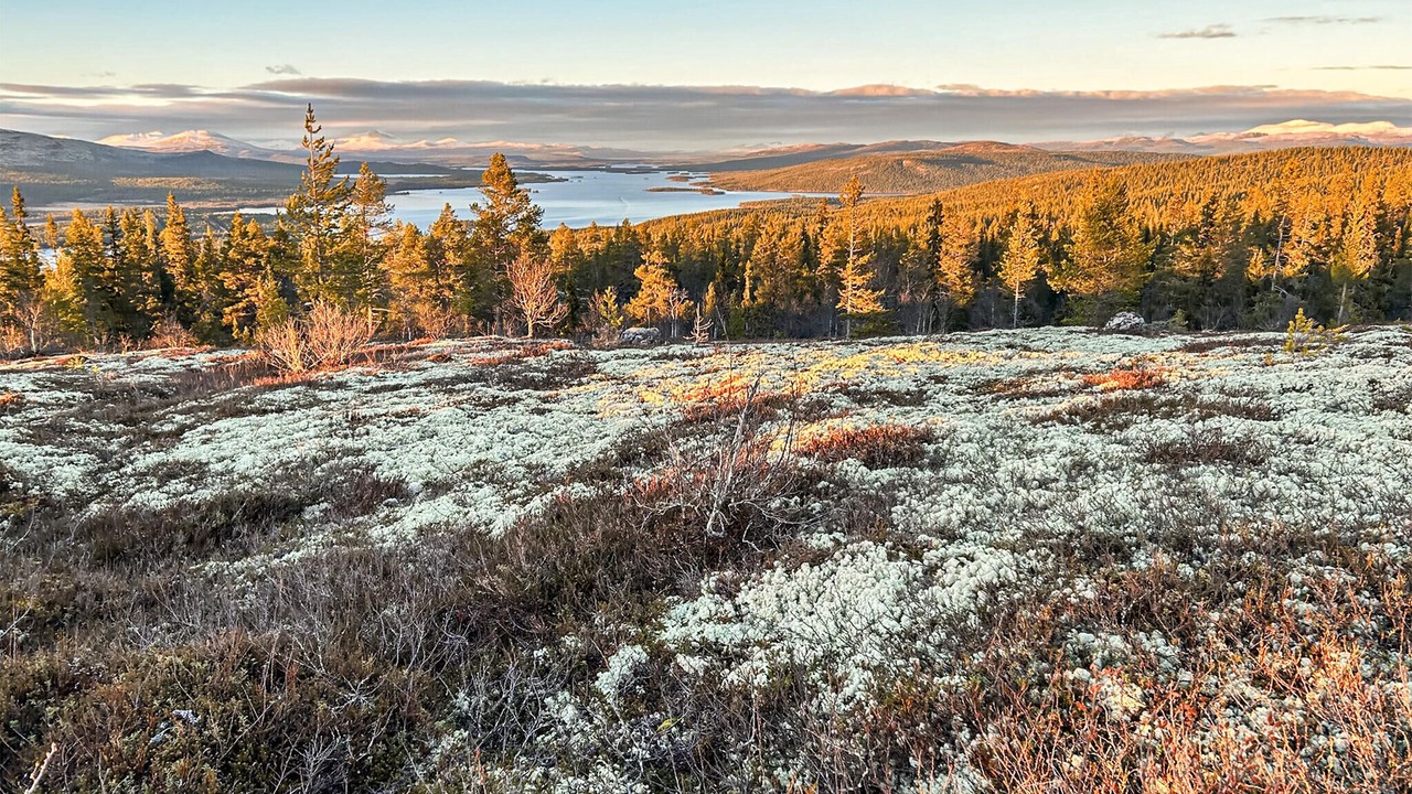Photo of Others in Engerdal Municipality