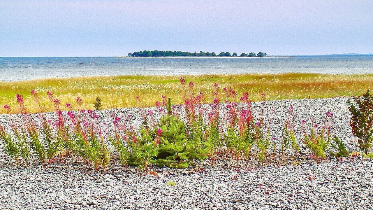 Photo of Others in Romakloster