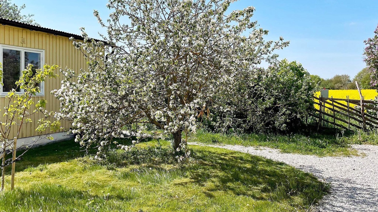 Photo of Outdoor in Romakloster