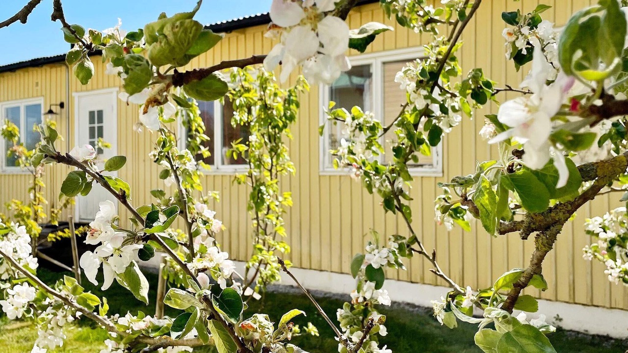Photo of Outdoor in Romakloster