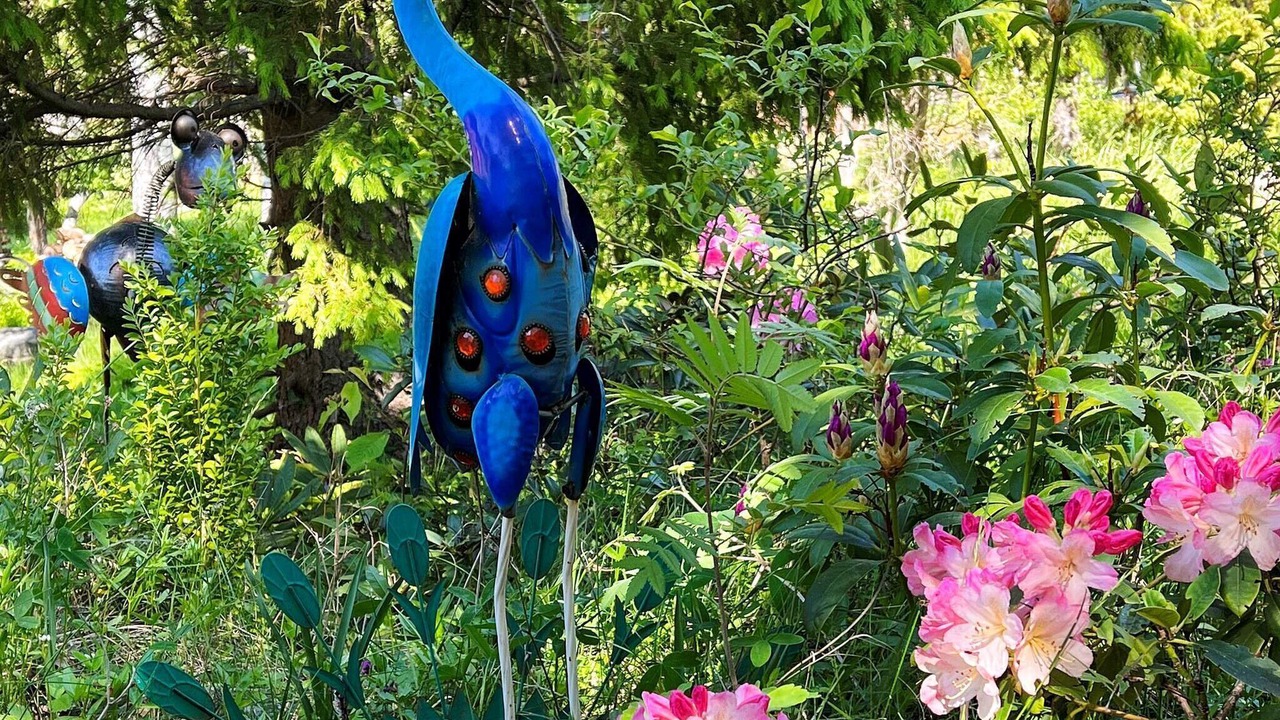 Photo of Outdoor in Orno