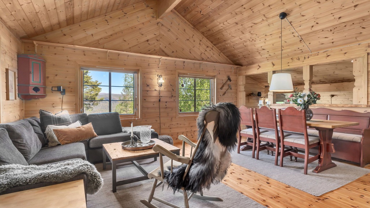 Photo of Livingroom in Aseral