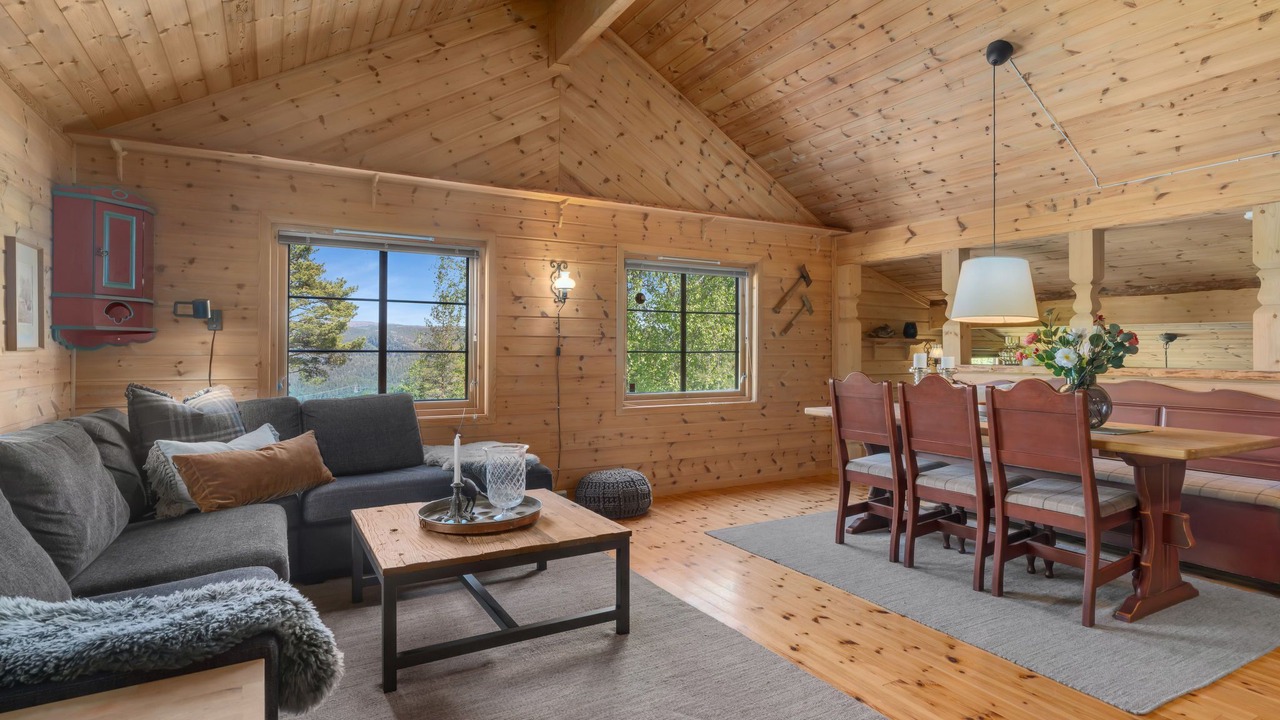 Photo of Livingroom in Aseral