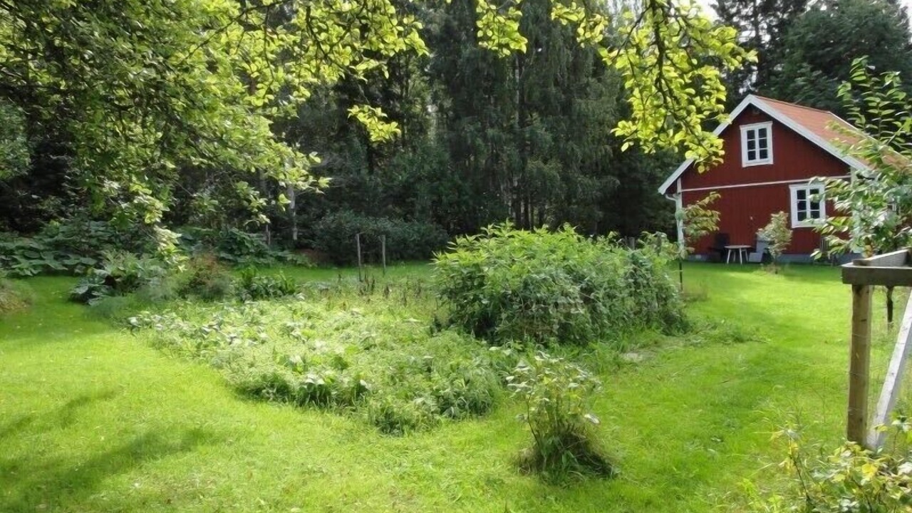 Photo of Outdoor in Laxa Municipality