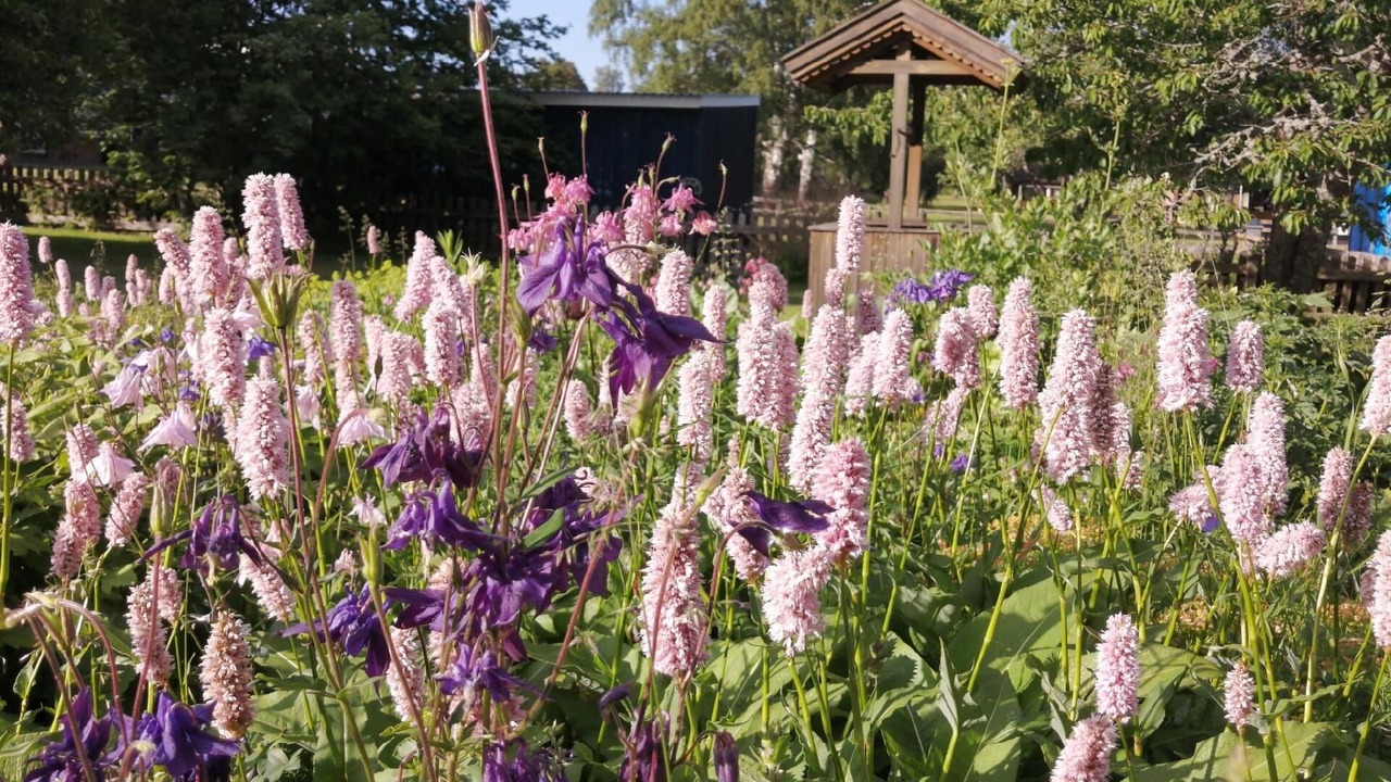 Photo of Outdoor in Fagelfors