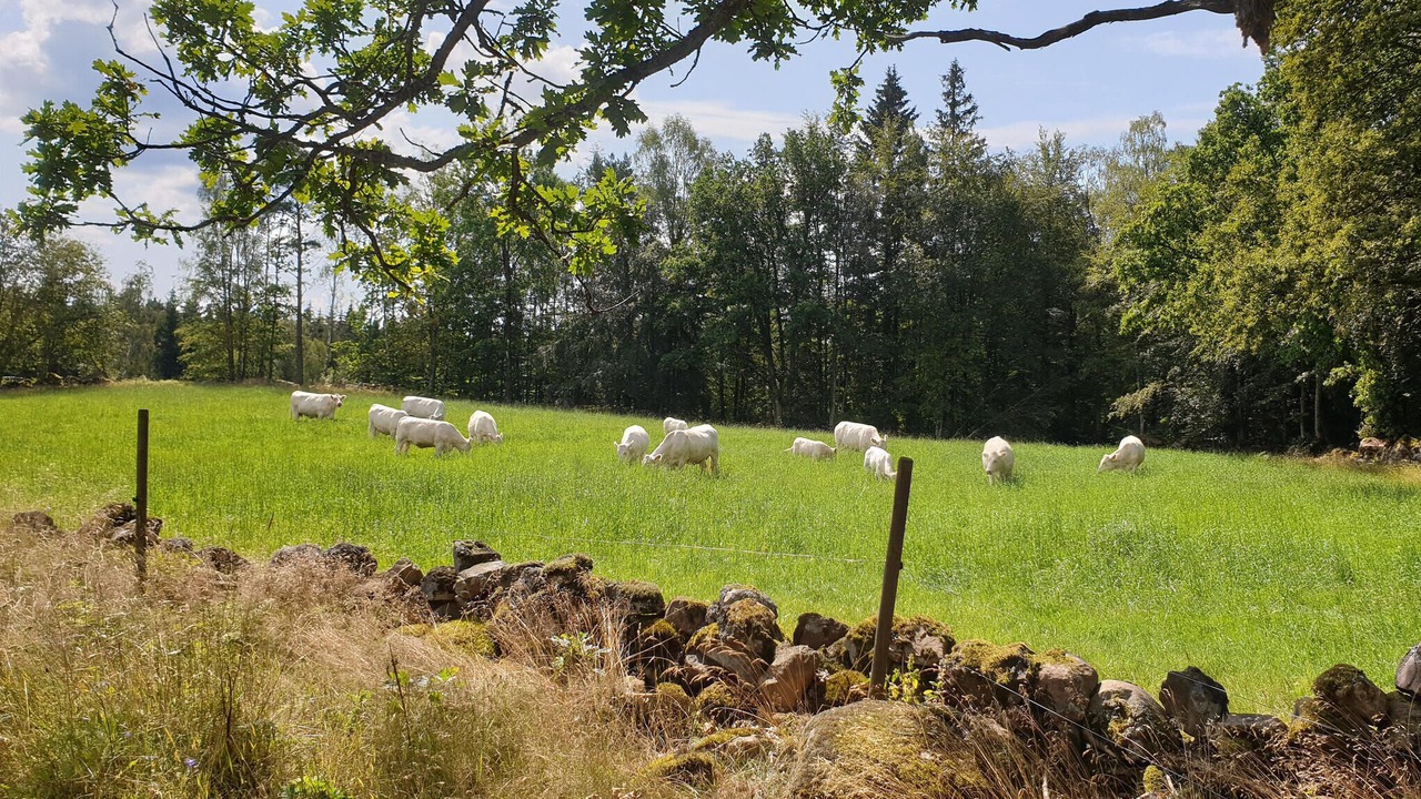 Photo of Others in Perstorp Municipality