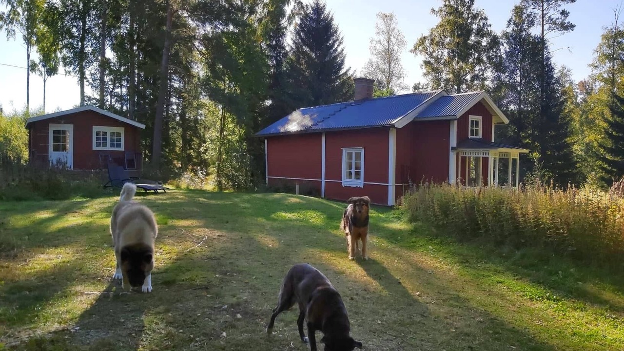 Photo of Outdoor in Nora Municipality