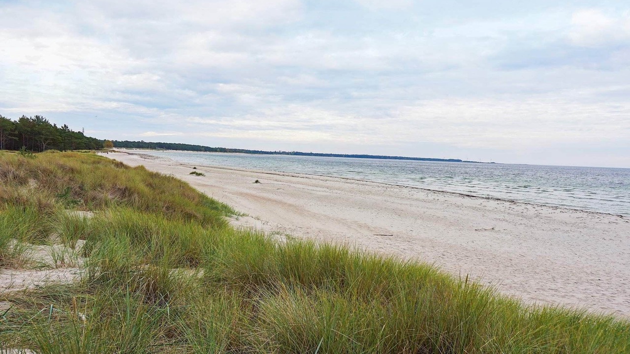 Photo of Others in Byxelkrok