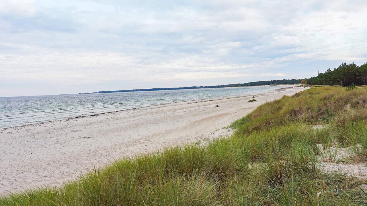 Photo of Others in Byxelkrok