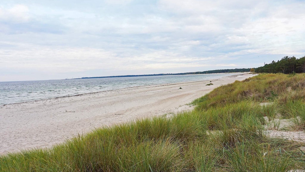 Photo of Others in Byxelkrok