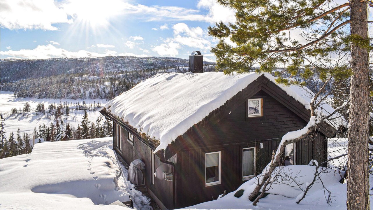 Photo of Others in Nissedal
