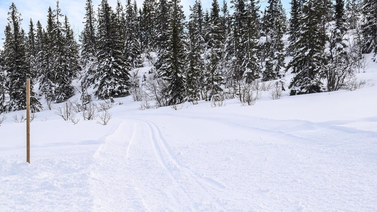 Photo of Others in Nissedal