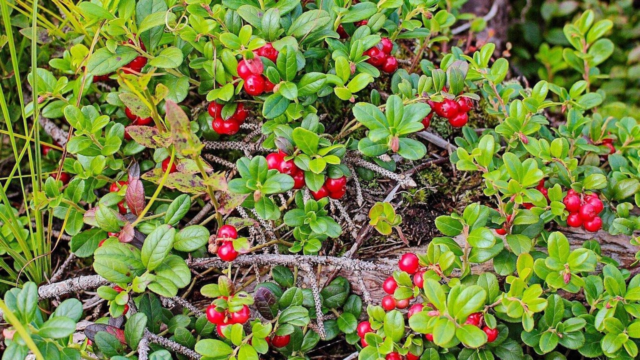 Photo of Outdoor in Stoten
