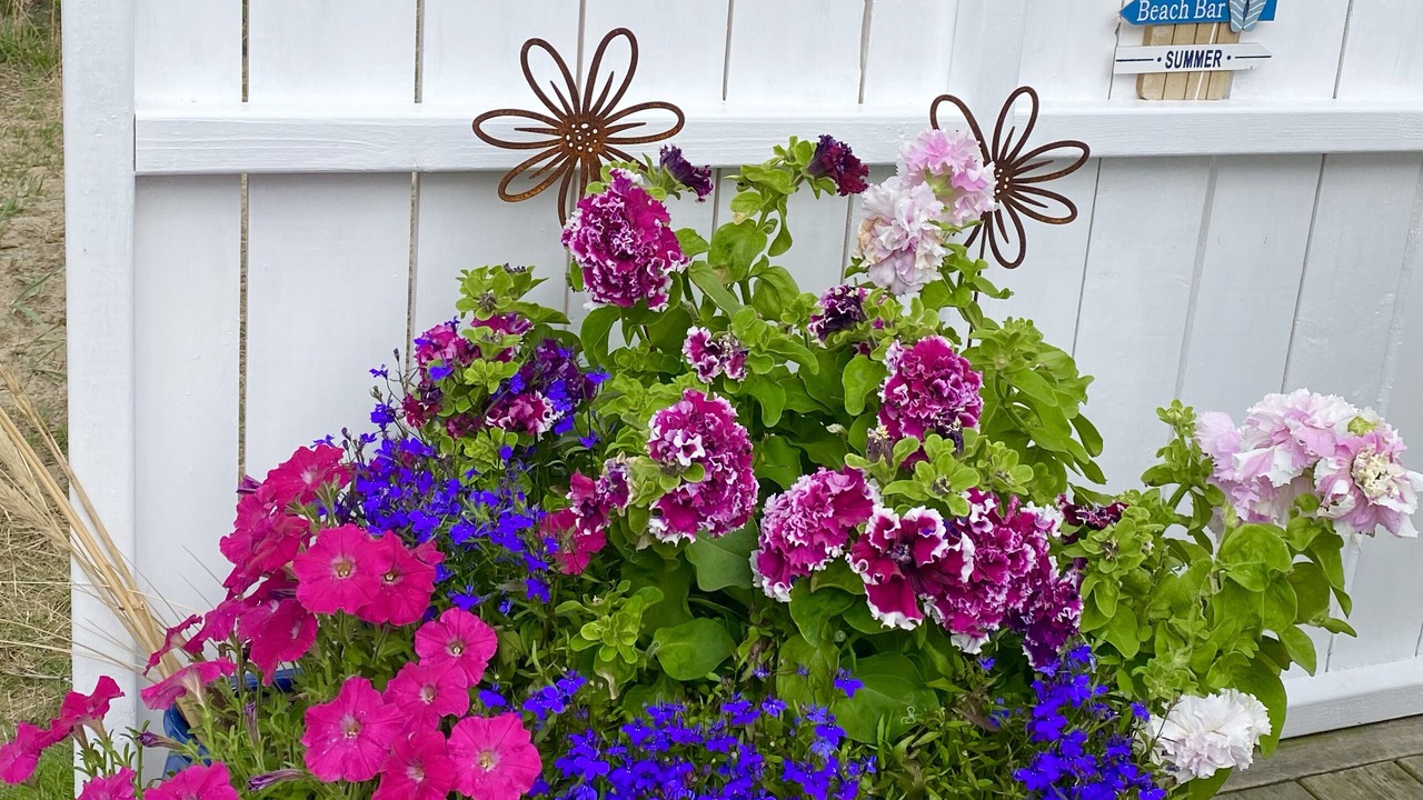 Photo of Outdoor in Falkenberg