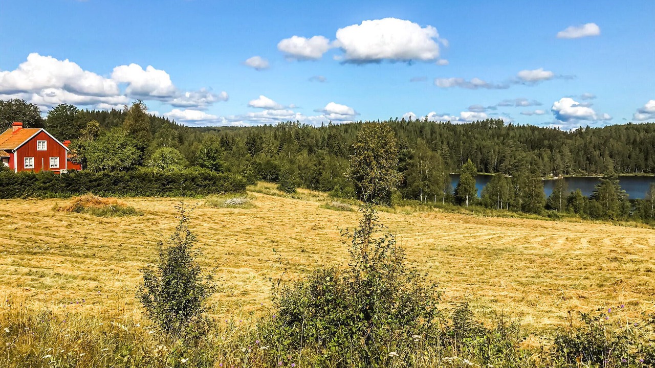 Photo of Others in Dals-Ed Municipality