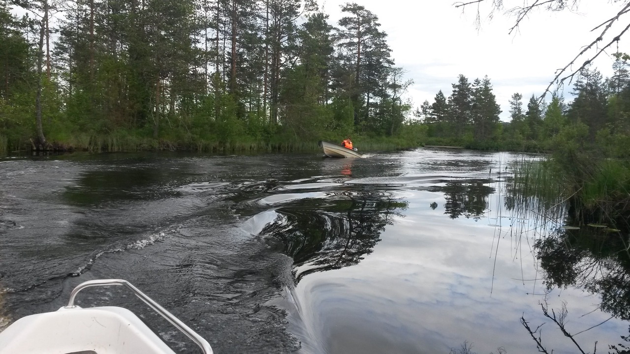 Photo of Others in Lesjofors