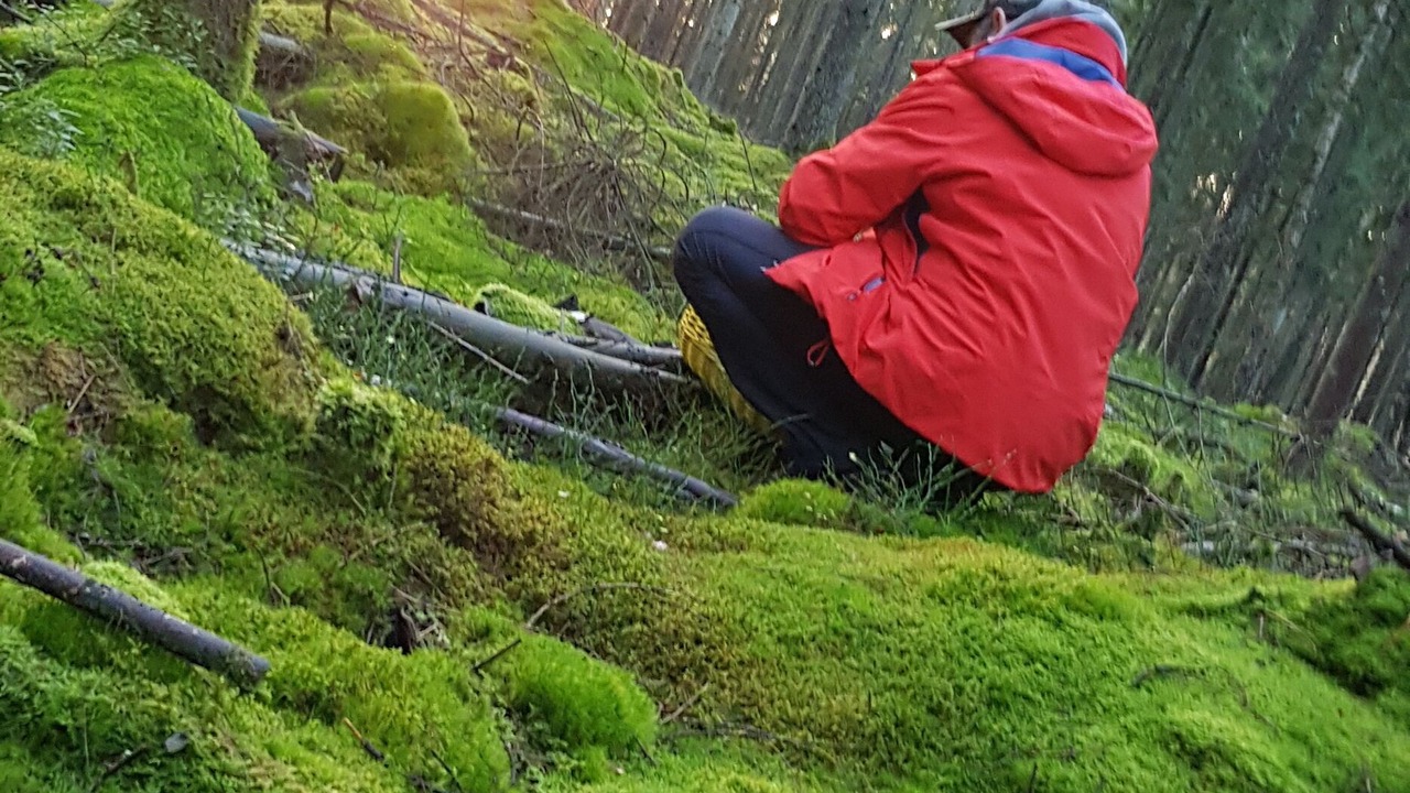 Photo of Outdoor in Almhult