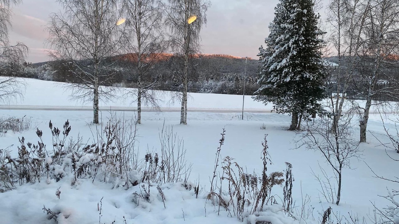 Photo of Outdoor in Hammarstrand