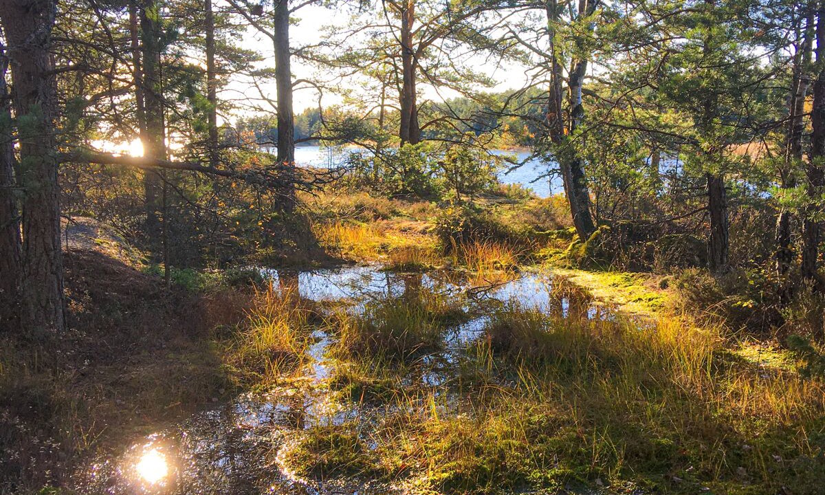 Photo of Outdoor in Asensbruk