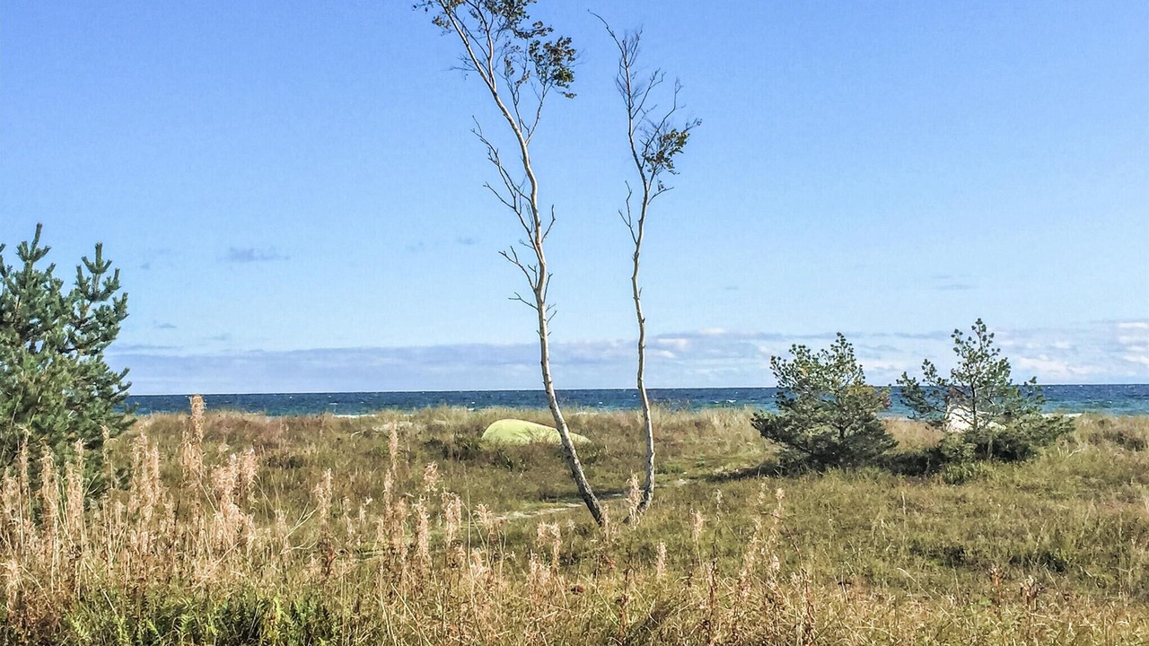 Photo of Others in Beddingestrand