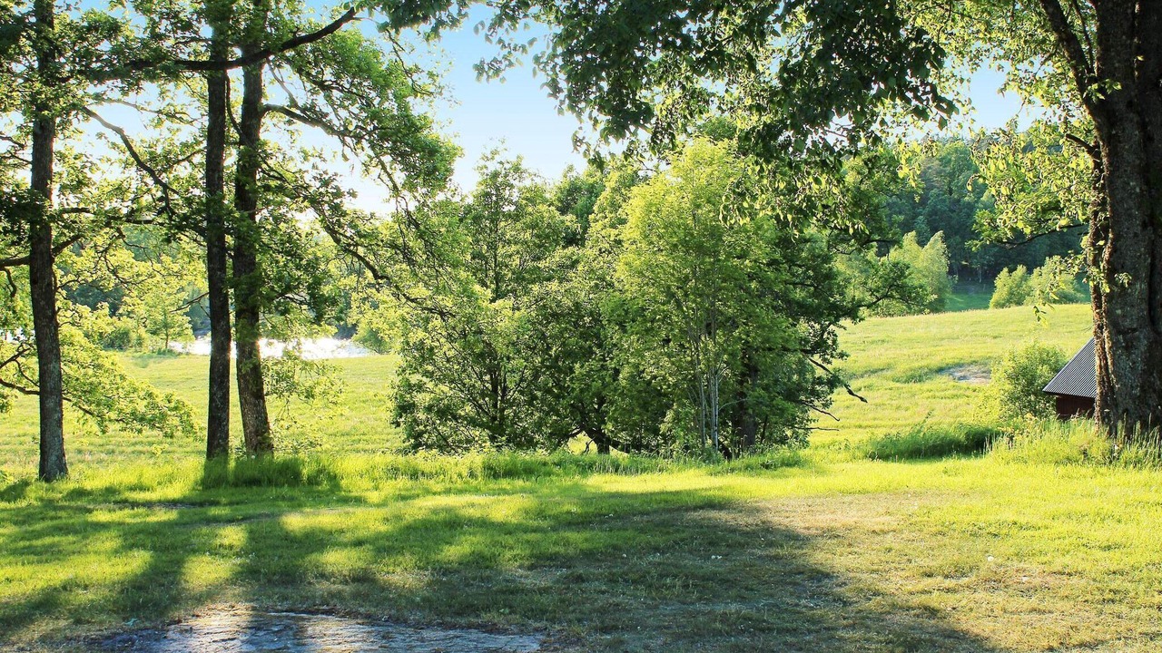 Photo of Others in Oxaback