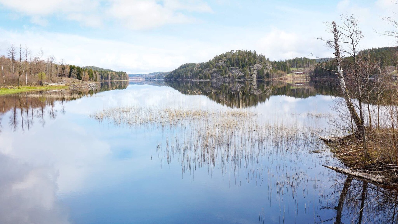 Photo of Others in Hallevadsholm