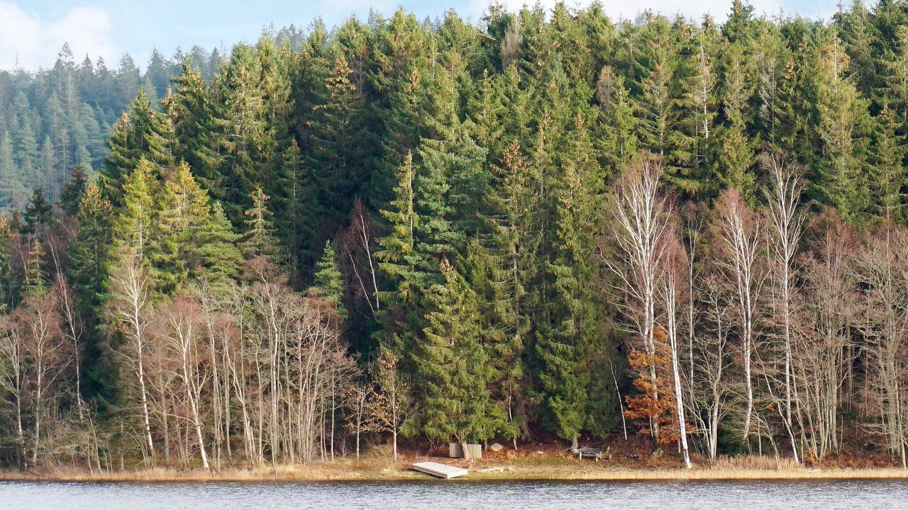 Photo of Others in Hallevadsholm