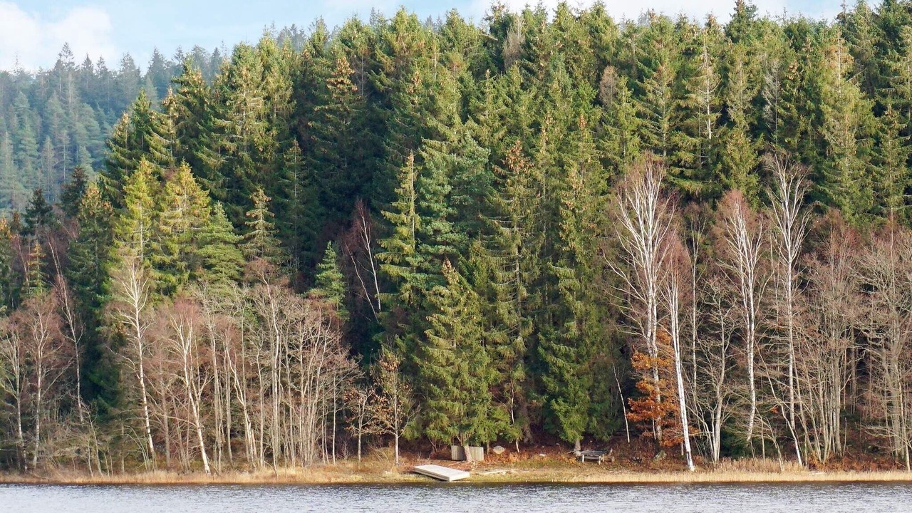 Photo of Others in Hallevadsholm